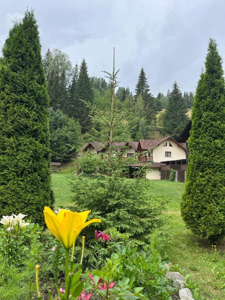 Pietrele Doamnei Hotel Pojorîta Buitenkant foto