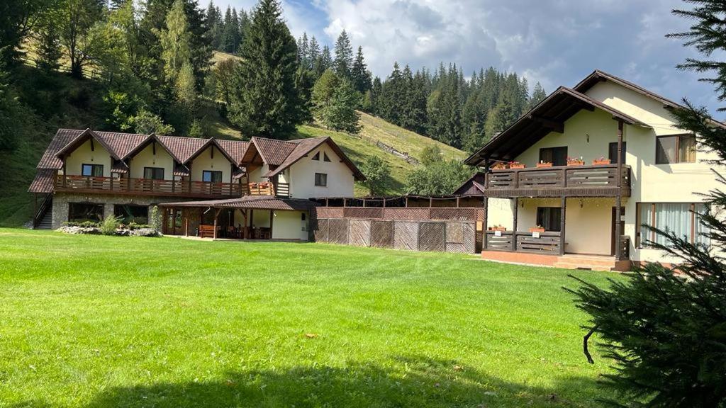 Pietrele Doamnei Hotel Pojorîta Buitenkant foto