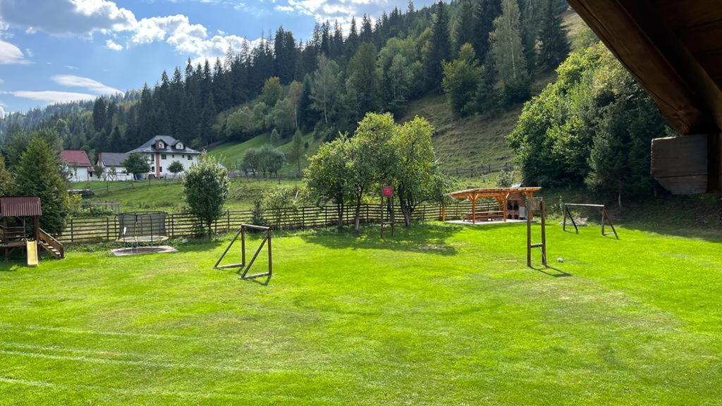 Pietrele Doamnei Hotel Pojorîta Buitenkant foto