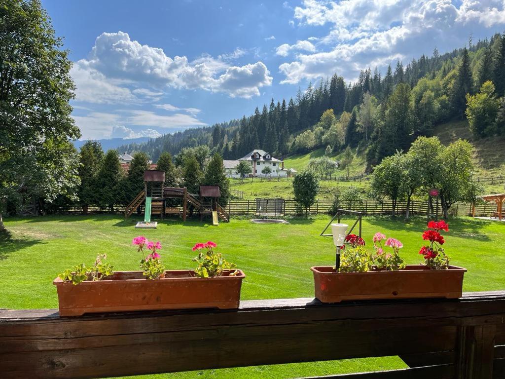 Pietrele Doamnei Hotel Pojorîta Buitenkant foto