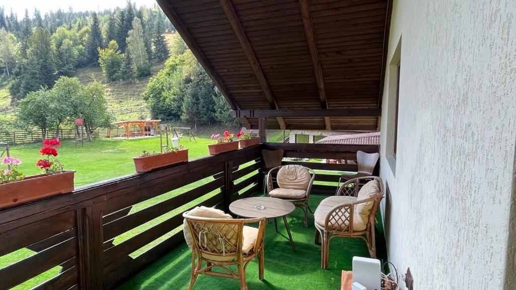 Pietrele Doamnei Hotel Pojorîta Buitenkant foto